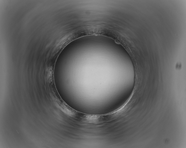 X0000090910144200707301442