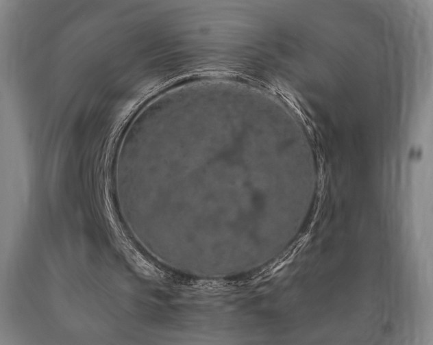 X0000090910145200707301441