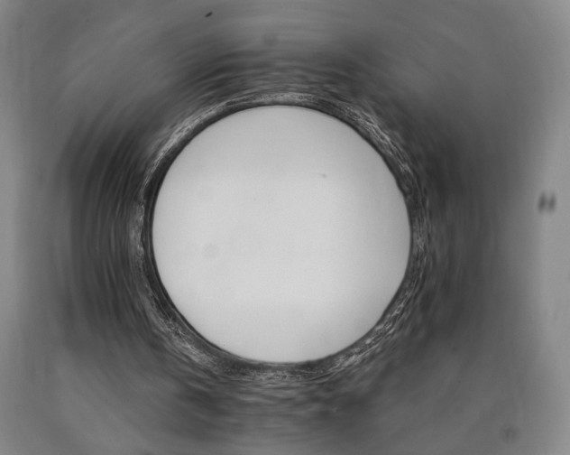 X0000090910146200707301441