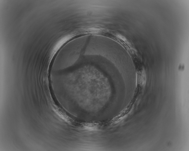 X0000090910147200707301441