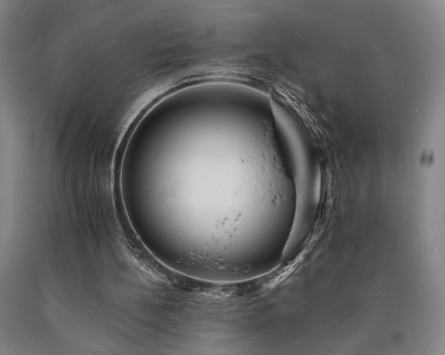 X0000090910148200707301441