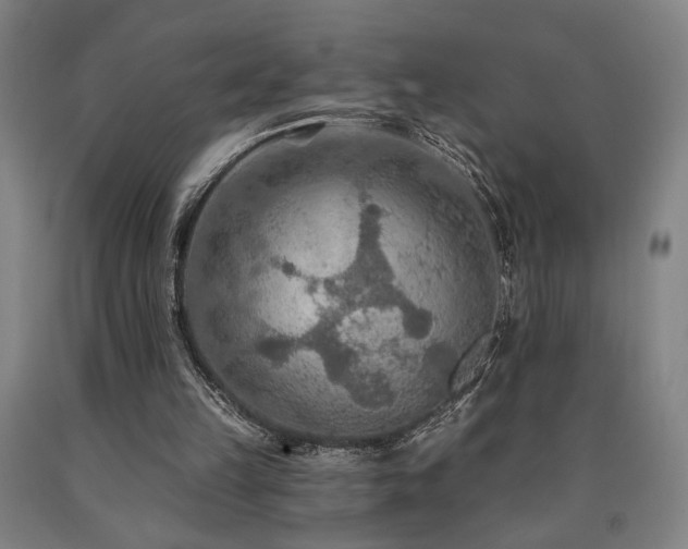 X0000090910149200707301441