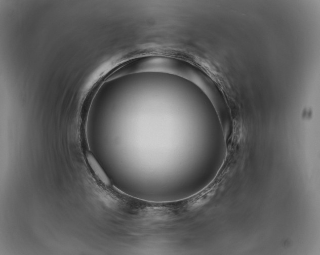 X0000090910150200707301441