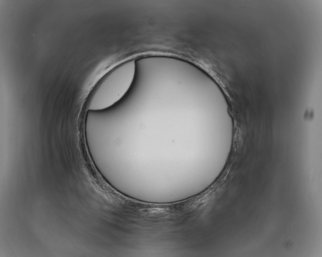 X0000090910151200707301441