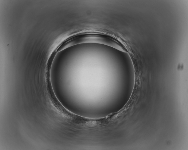 X0000090910152200707301441