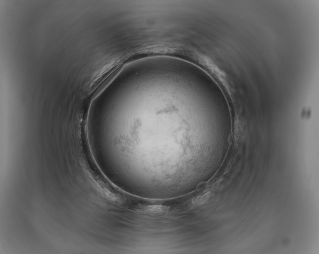 X0000090910153200707301441