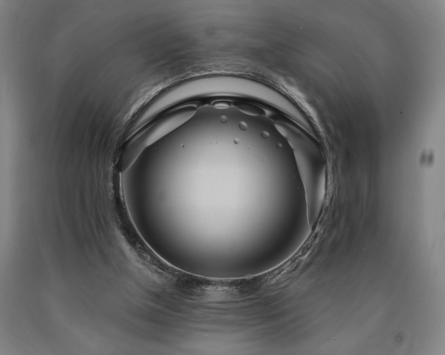 X0000090910154200707301441