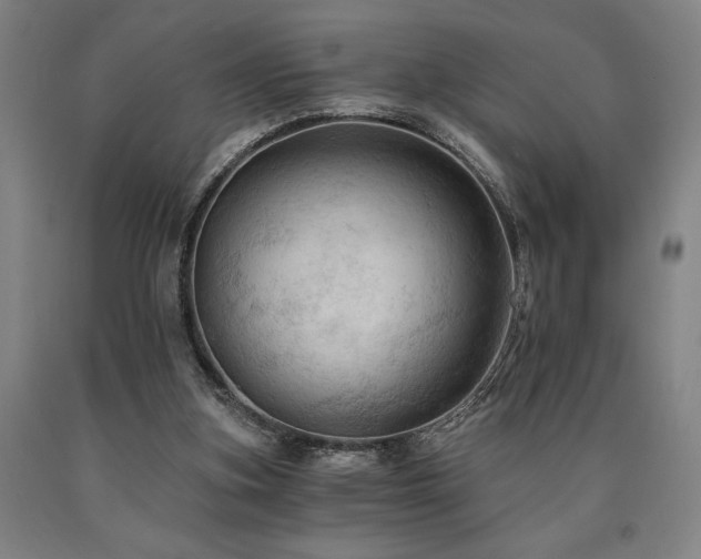 X0000090910155200707301441