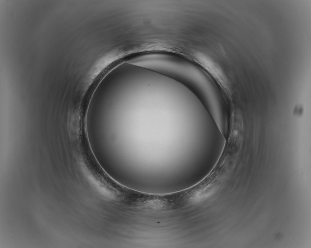 X0000090910156200707301441