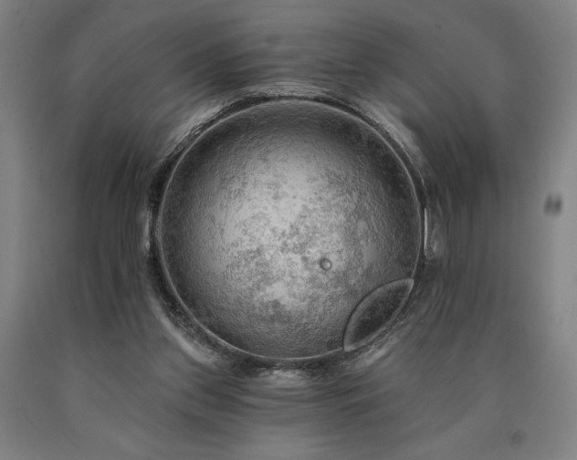 X0000090910157200707301441