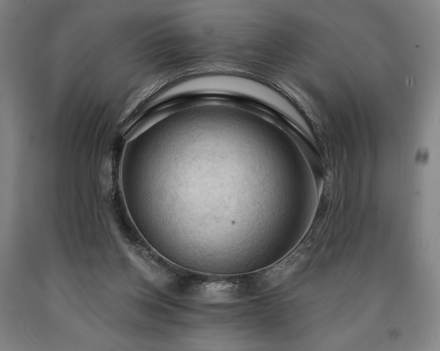 X0000090910158200707301441