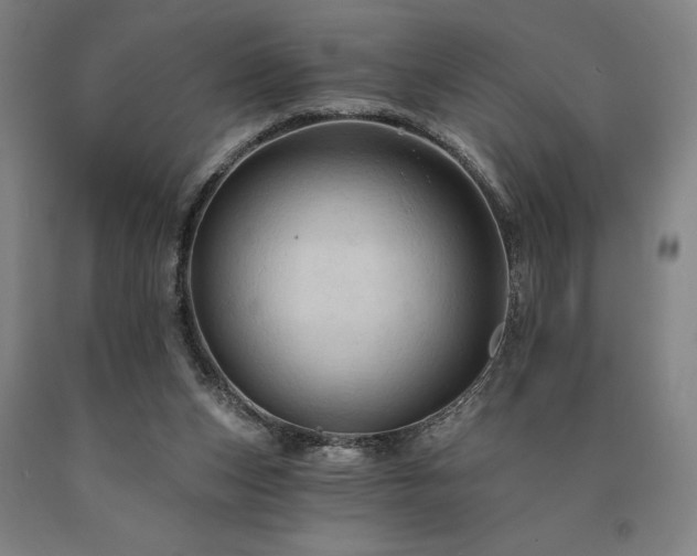 X0000090910159200707301441