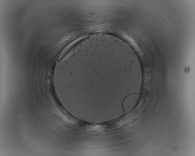 X0000090910161200707301441