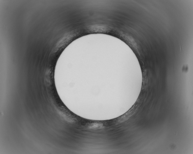 X0000090910162200707301441