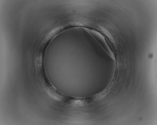 X0000090910163200707301441