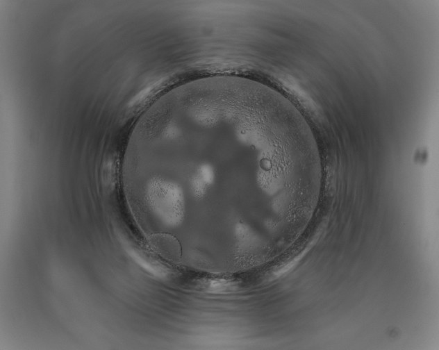 X0000090910165200707301441