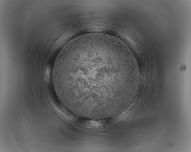 X0000090910166200707301441