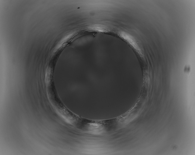 X0000090910167200707301441