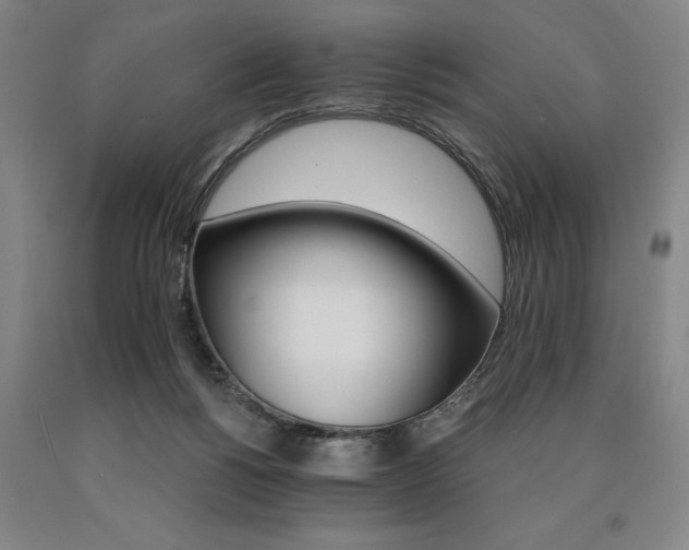 X0000090910168200707301441