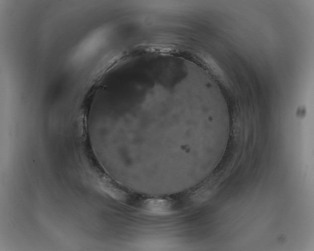 X0000090910169200707301441