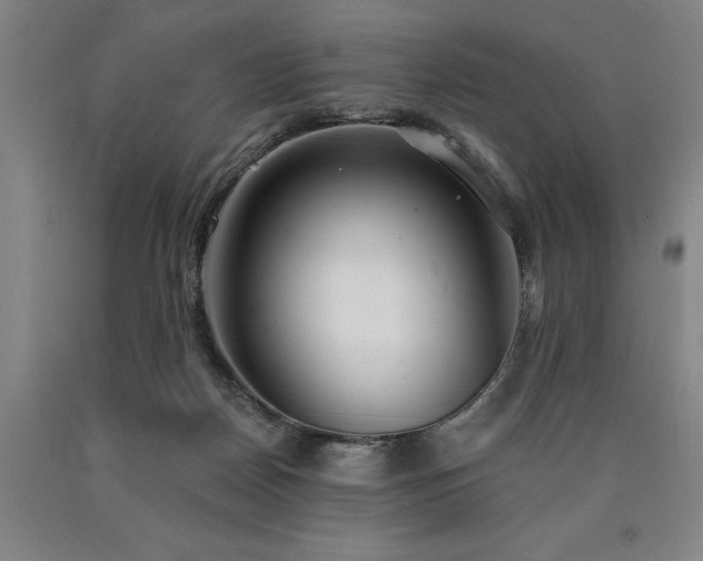 X0000090910170200707301441