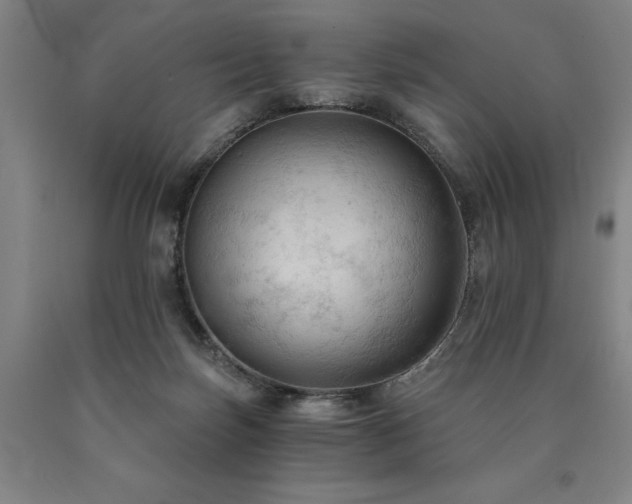 X0000090910171200707301441