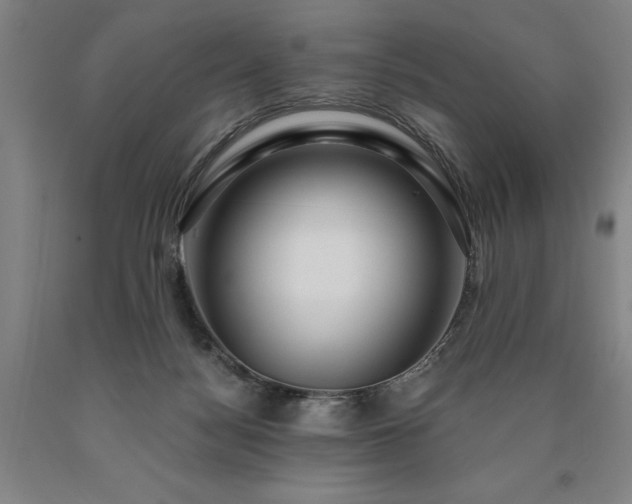 X0000090910172200707301441