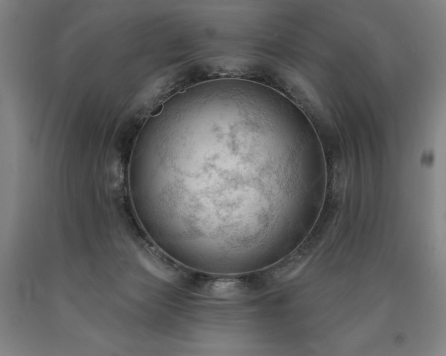 X0000090910173200707301441