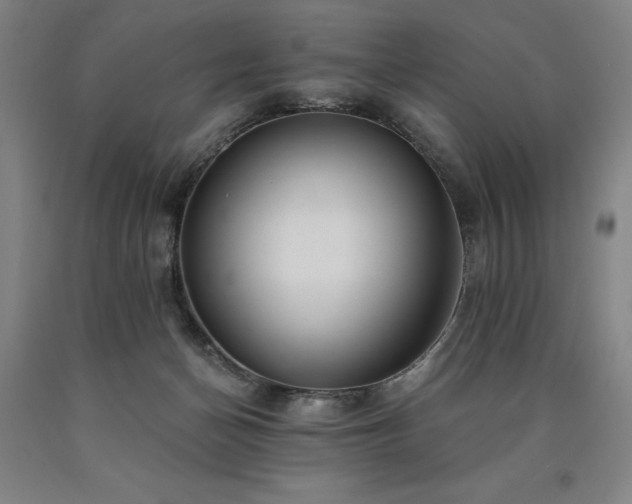 X0000090910174200707301441