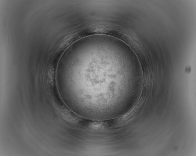 X0000090910175200707301441