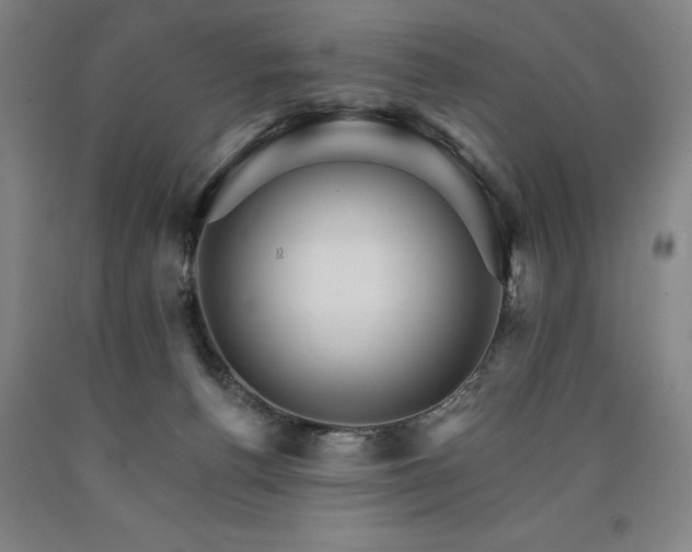 X0000090910176200707301441