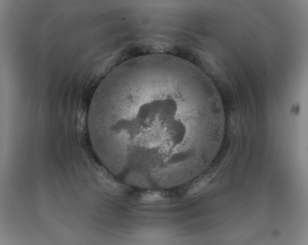 X0000090910177200707301441