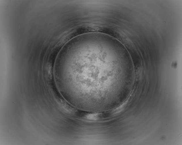 X0000090910178200707301441