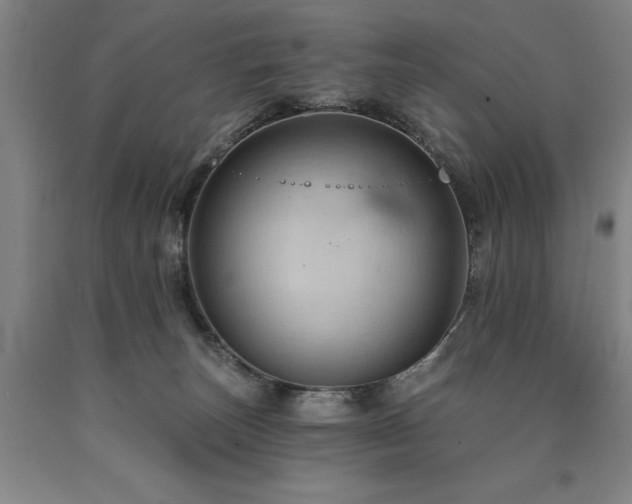 X0000090910179200707301441