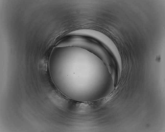 X0000090910180200707301441