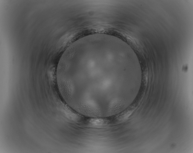 X0000090910181200707301441