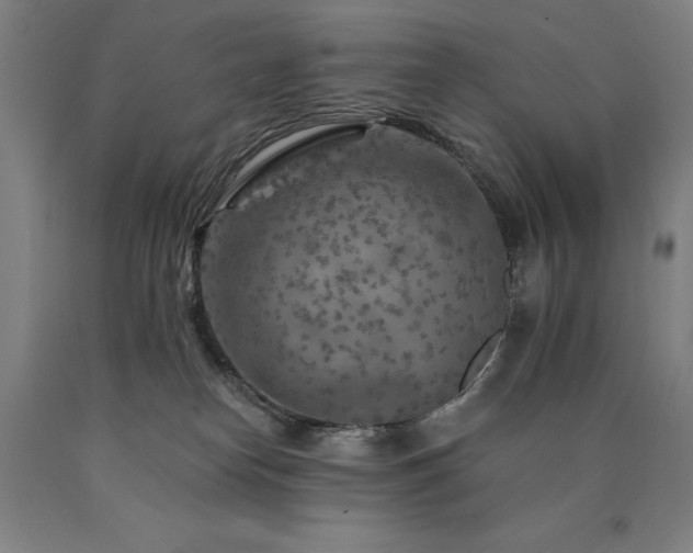 X0000090910182200707301441