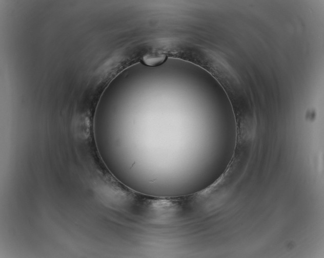 X0000090910183200707301441