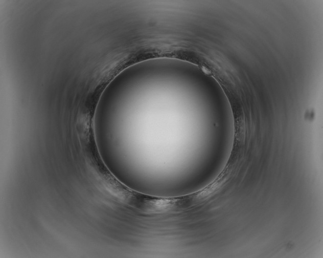 X0000090910184200707301441