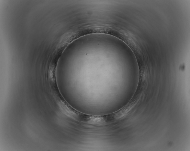 X0000090910185200707301441