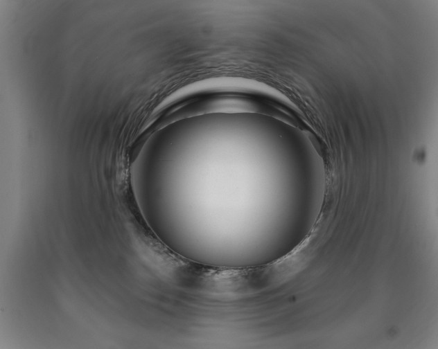 X0000090910186200707301441