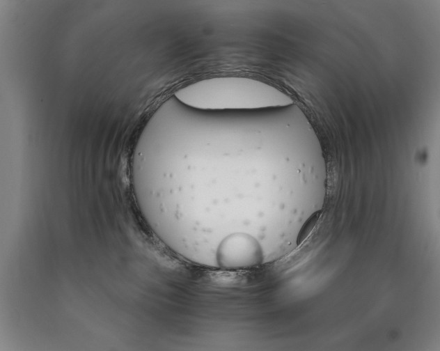 X0000090910187200707301441