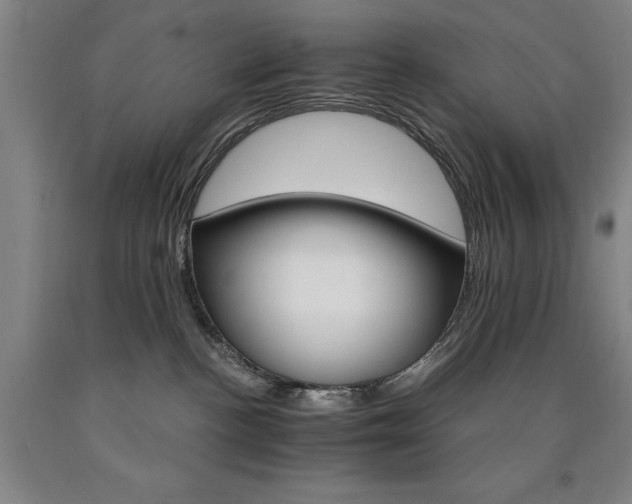 X0000090910188200707301441