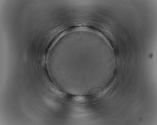 X0000090910189200707301442