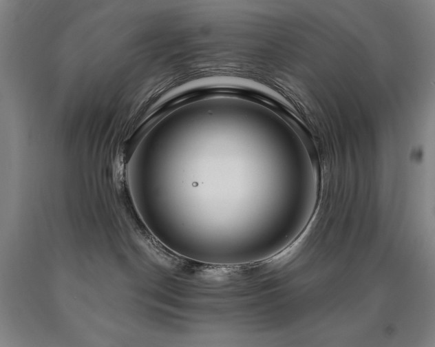 X0000090910190200707301442