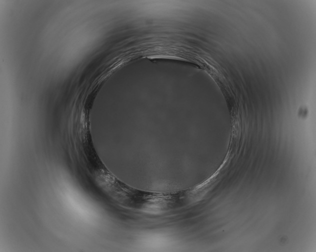 X0000090910191200707301442