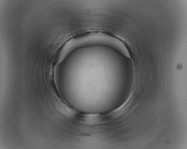 X0000090910192200707301442