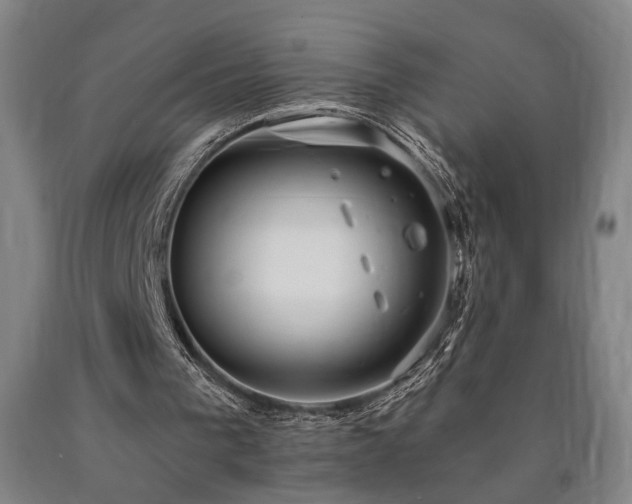 X0000090910193200707301441