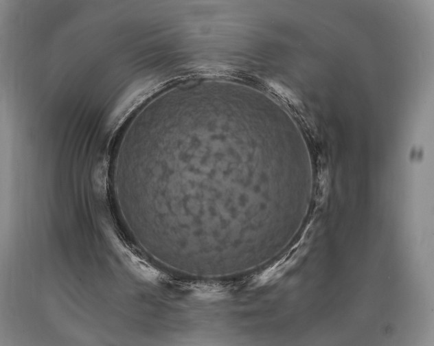 X0000090910194200707301441