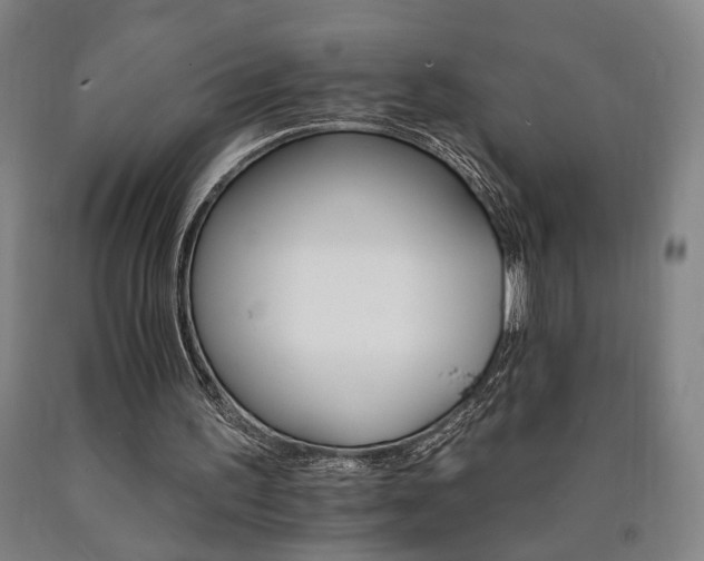 X0000090910195200707301441